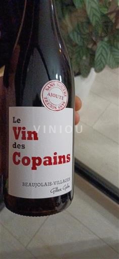 Beaujolais Beaujolais Villages Gilles Gelin Le Vin des Copains Senza annata