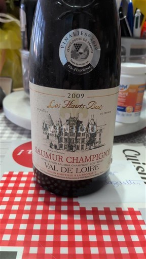 Dolina Loare Saumur-champigny Les Hauts Ruins 2009
