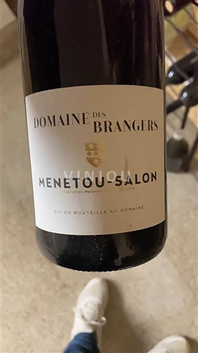 Loire-dalen Menetou-Salon Domaine S Brangers 2021