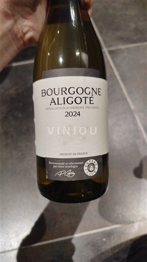 Bourgogne Bourgogne Aligoté Jhf dambach la ville 2024