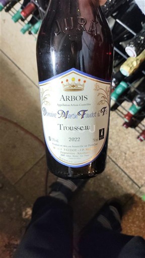Jura Arbois Domaine Martin Faudot Trousseau 2022