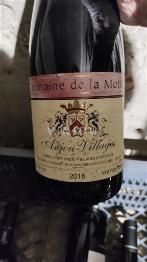 Valle della Loira Anjou Villages Domaine La Motte 2016