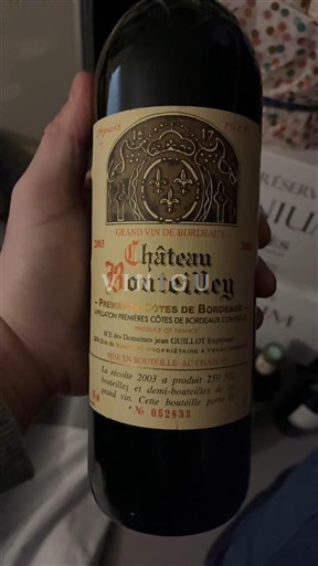 Burdeos Primeras Colinas de Burdeos Château Bouteilley 2003