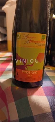 Alsace Pinot Grigio Domaine Bliemerose 2019 2019