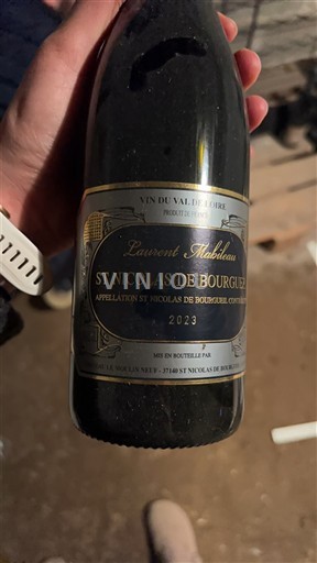 Valle del Loira Saint-Nicolas-De-Bourgueil Laurent Mabilleau 2023