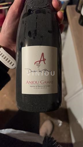 Loiredalen Anjou-gamay Domaine S Barres Icke årgångsbetecknad