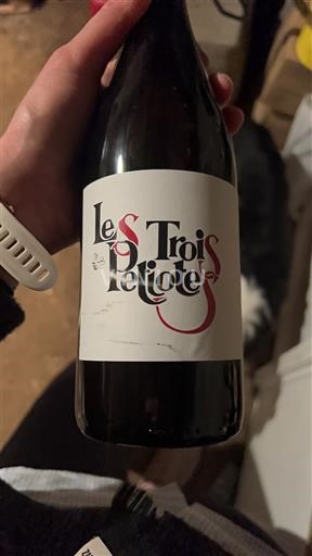 Bordeaux Castillon-côtes-de-bordeaux Les Trois Petiotes Neleten.