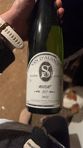 Alsazia Non specificato Eugene Schaller 2022