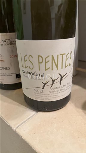 Valle del Loira Saumur Olivier Cousin et Michel Chevré Les Pentes 2020