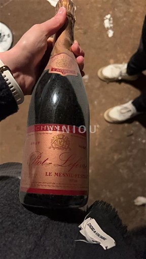 Champaña Champán Le Mesnil Père & Fils Brut 2004