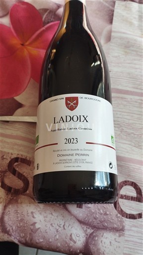 Borgonha Ladoix Domaine Perrin 2023