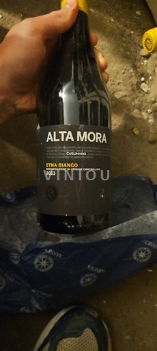 Calabria Cirò Bianco Alta Mora 2013