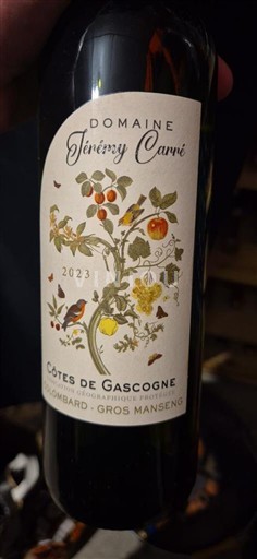 Jugozahod Côtes de Gascogne Domaine Ténérity Carvé 2023