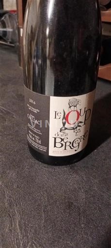 Languedoc Not Specified Le Loup dans la Bergerie 2016