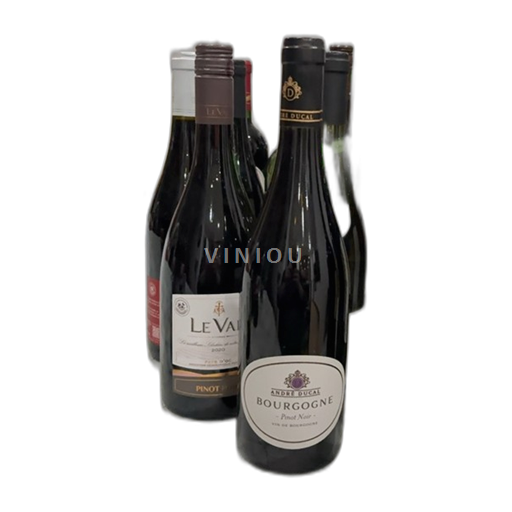 Borgogna André Ducal Pinot Noir 2021