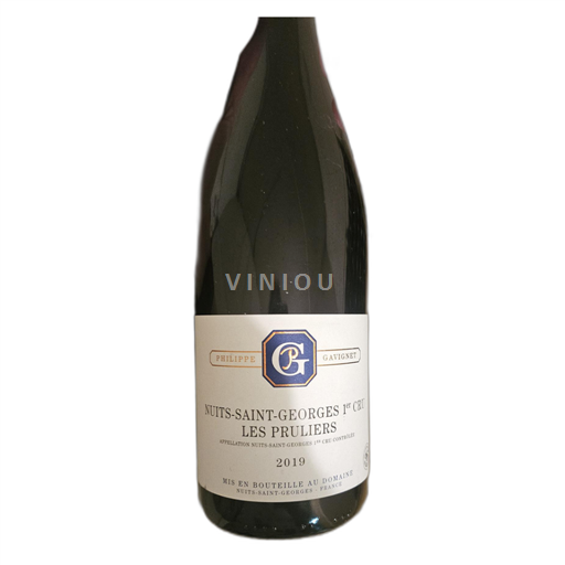 Burgund Nuits-Saint-Georges Philippe Gavignet 2019