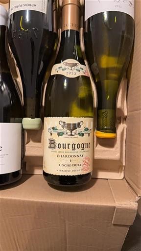 Burgundy Coche Dury 2023