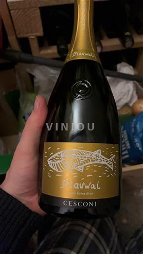 Trentino-Alto Adige CESCANI Blauwal Non-Vintage