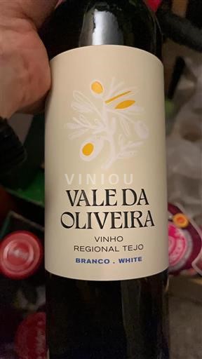 Tajo VALE DA OLIVEIRA 2024