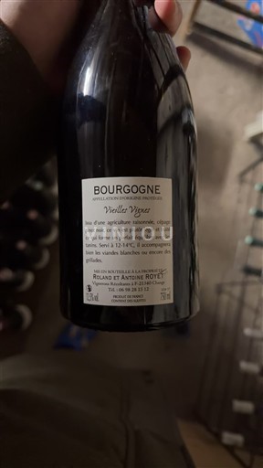 Borgogna Roland et Antoine Royet Vieilles Vignes 2017