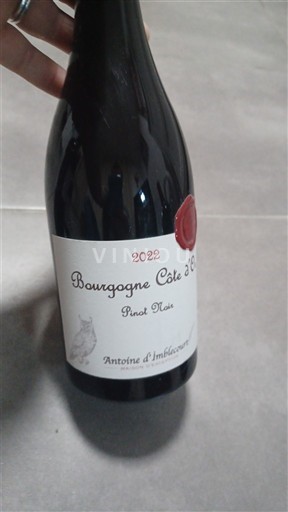 Burgundija Bourgogne zlata obala Antoine d'Imbleval 2022