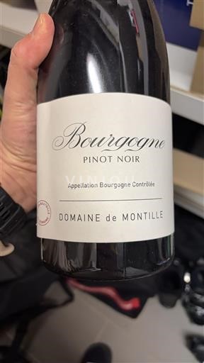 Bourgondië Bourgogne Domaine Montille Pinot Noir 2019