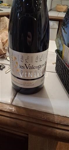 Dolina Loare Saumur-champigny Domaine S Champs Fleuris Les Valengeliers 2019