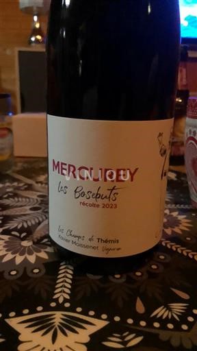 Burgundija Mercurey Les Champs de Thémis Les Bosebuts 2023