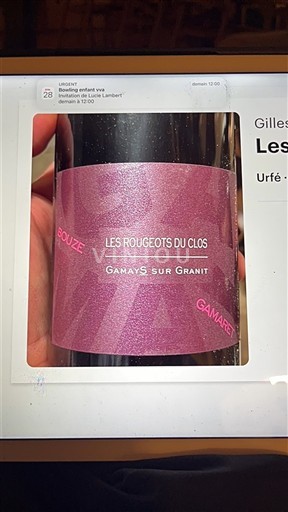 Loirevallei Côtes-d'Auvergne Les Rougeots du Clos GamayS sur Granit 2021