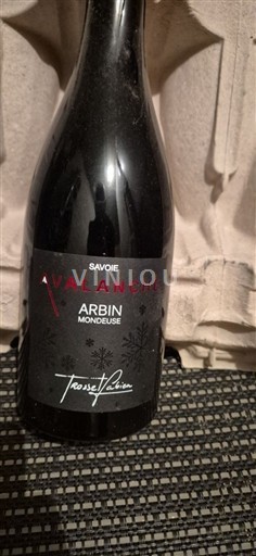 Savoie và Bugey Trosset Fabien Avalanche 2015