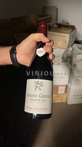 Burgundi Beaune Premier Cru Michel Gay et Fils 2019