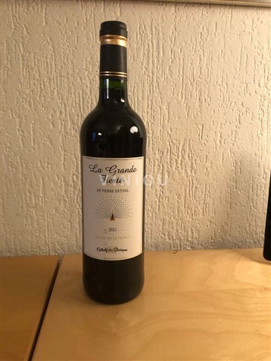 Vale do Loire Chinon La Grande Fierté de Pierre Estival Vatencollectief 2021