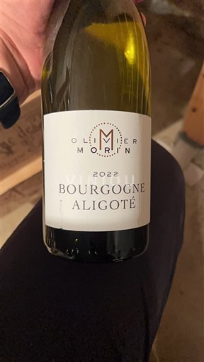 Bourgogne Bourgogne Aligoté Olivier Morin 2022
