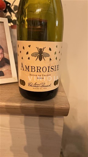 Burgundi Määrittelemätön Thomas Bassot Ambroisie 2022