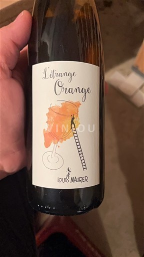 Alsazia Non specificato Louis Maurer L'étrange Orange 2022