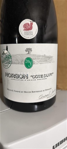 Beaujolais Morgon Georges Descombes Côte du Py 2019