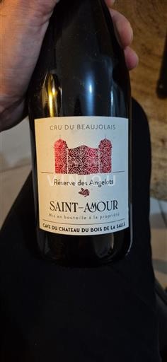 Beaujolais Saint-Amour Château Bois de la Salle Réserve des Angelots 2023