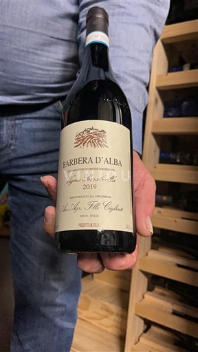 Piamonte Barbera d'Alba Az. Agr. F.lli Cigliuti Vigna Serraboella 2019