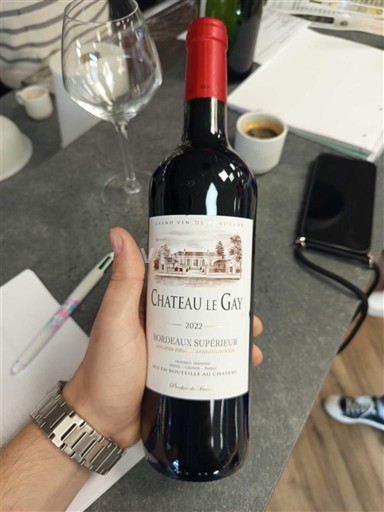 Burdeos Bordeaux superior Château Le Gay 2022