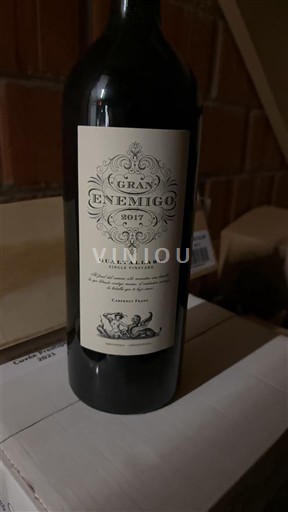 Mendoza Non specificato Gran Enemigo Gualtallary 2017