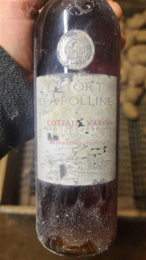 Valle della Loira Coteaux charitois L'Hort d'Apolline 2010