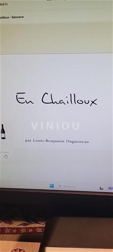 Dolina Loare Sancerre Louis-Benjamin Dagueneau En Chailloux 2021