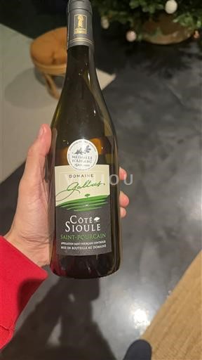 Thung lũng sông Loire Saint-Pourçain Domaine Gallas Côte St Jouze Không niên vụ