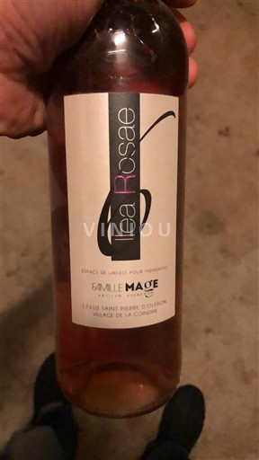 Valle della Loira Fiefs Vendéens Famille Macé Ilea Rosae 2021