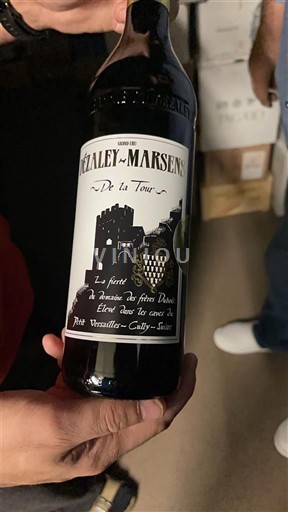 Vaud Lavaux AOC Dezaley Marsens Vase 4 De la Tour 2020