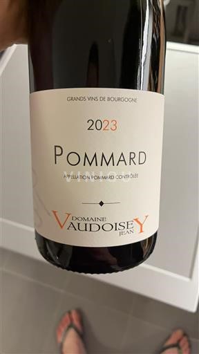 Bourgondië Pommard Domaine Jean Vaudoisey 2023