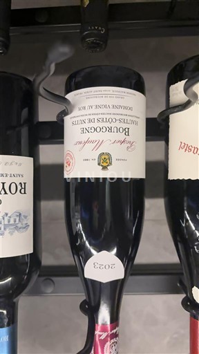 Loiredalen Bourgueil Domaine Vigneau-Chevreau 2023