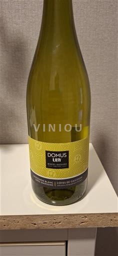 Sudoeste Côtes de Gascogne Domus Luby 2024