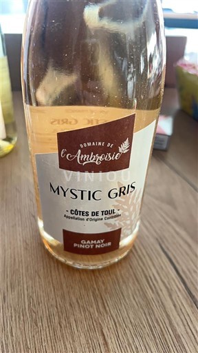 Lotharingen Côtes de Toul Domaine L'Ambroisie Mystic Gris 2024
