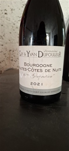 Borgogna Hautes Côtes de Nuits Domaine Guy & Yvan Dufouleur 16ème Génération 2021